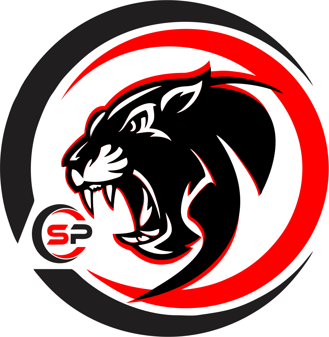 Segurservi Peru Eirl